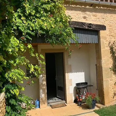 Au Coin Des Arbres
