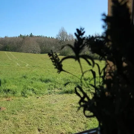 Au Coin Des Arbres Feriehus